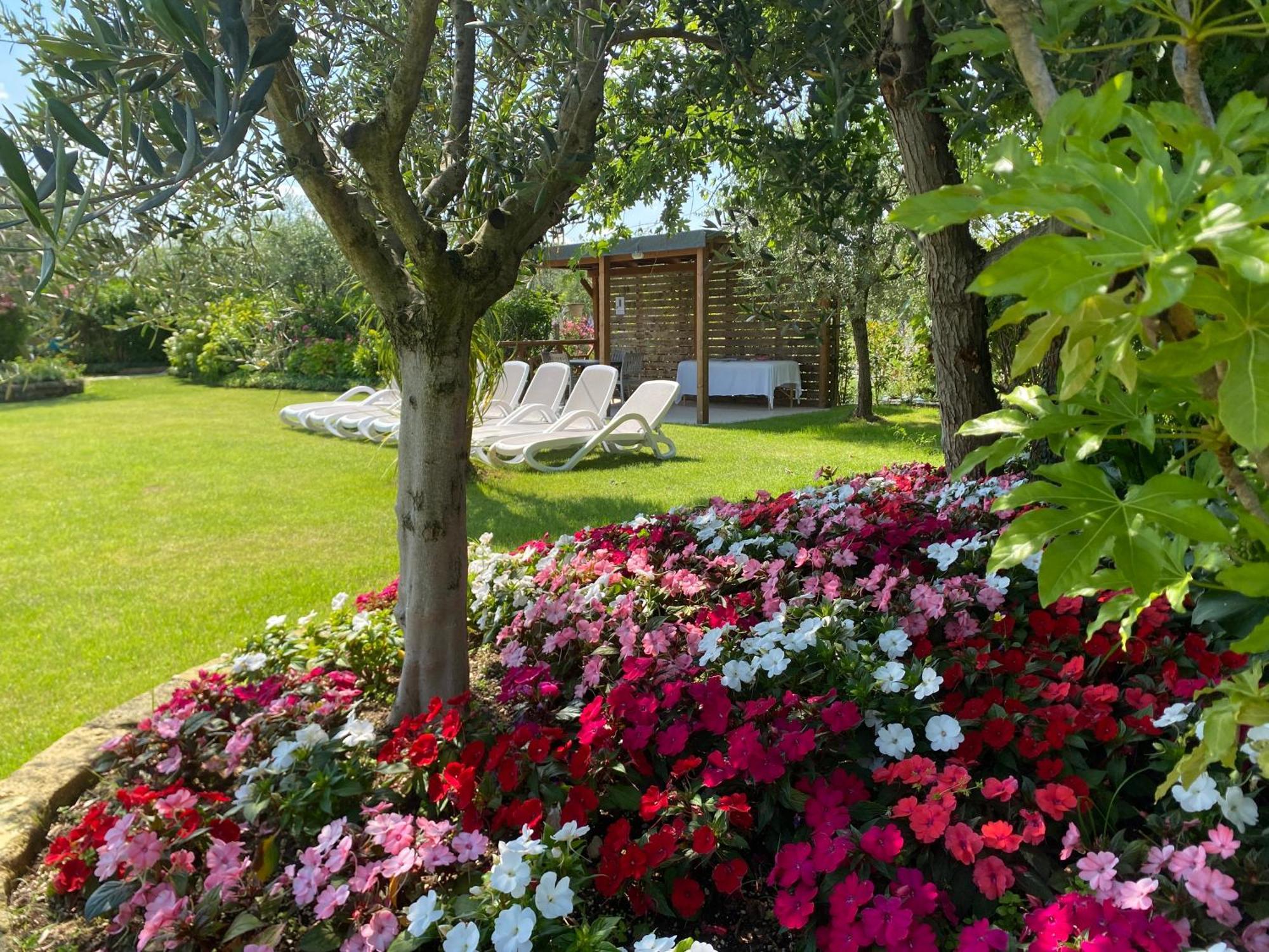 Agricampeggio Oasi Del Garda Campsite Lazise